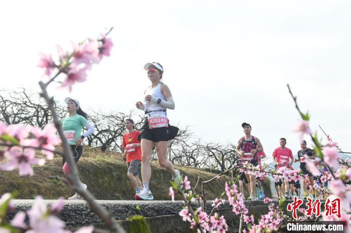 台湾跑团在奉化马拉松跑进浪漫桃花源，跨海情